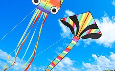 LETOMY Aquilone 2 Pezzi, 4M Polpo Aquilone Arcobaleno e Grande Aquilone…